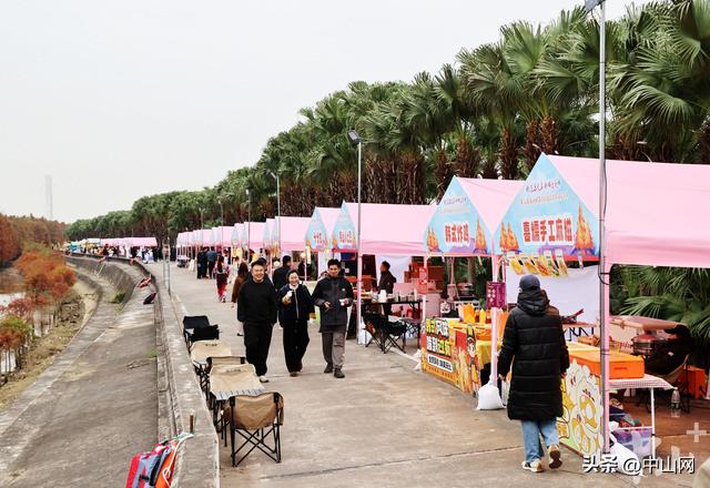 日间赏景夜间狂欢，在中山港口落羽杉林邂逅美拉德市集