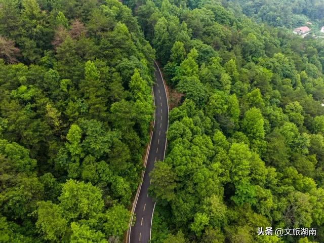 湖南这12条路美出了名，哪条路过你家？