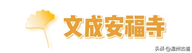 “含金量”爆棚！初冬限定，温州这处千年古刹的银杏大道美翻了！