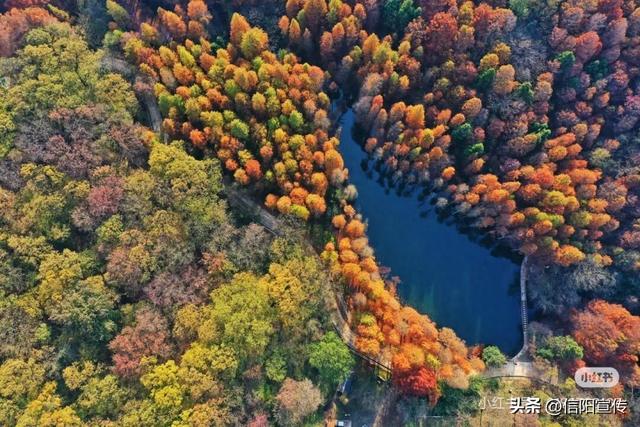 冬日信阳，独具魅力！
