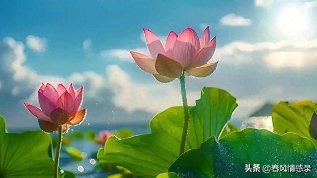 家庭教育对孩子的重要性简述（孩子的成长离不开父母陪伴）