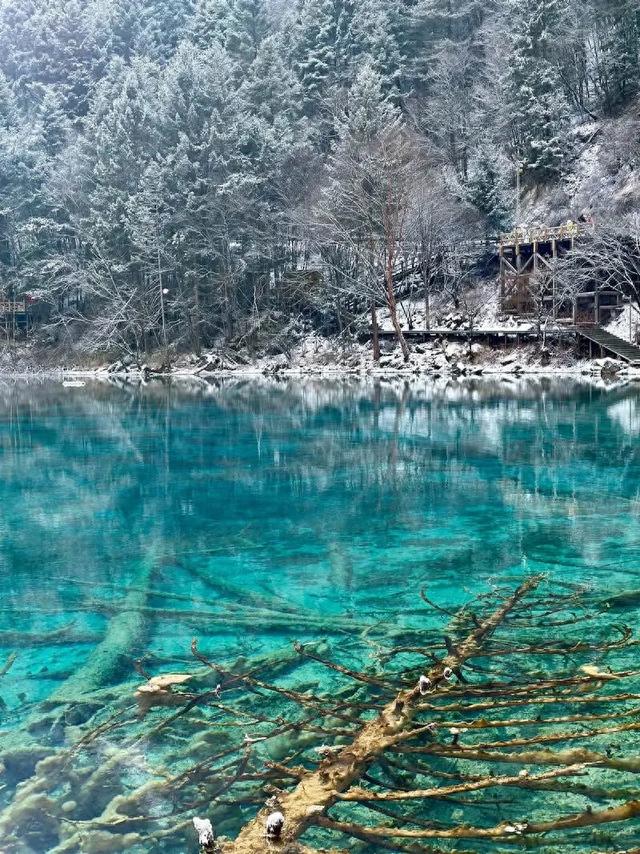 四川旅游必去的十大宝藏地,个个都是神仙景点!你去过几个?