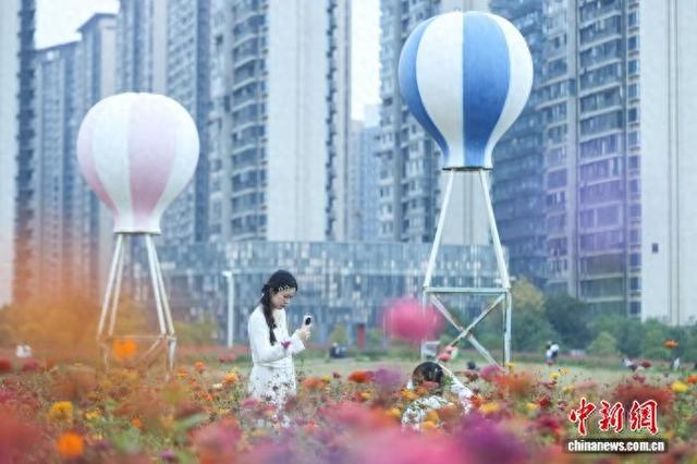 江西南昌：城市花海正盛放 绚丽多姿引客来