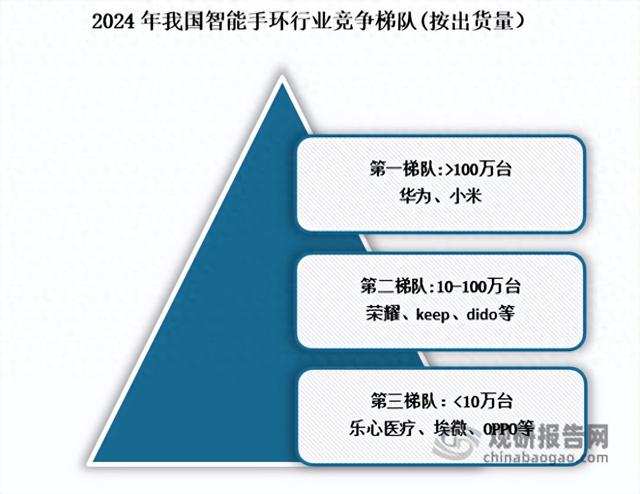 中国智能手环行业发展深度分析与投资前景报告（2025-2032年）