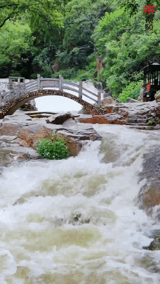 雨后泉水喷涌、飞瀑如练，淄博这些原生态山水秘境太美了！