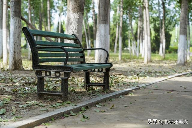 游公园，坐园椅，如果在水泊梁山，请问你坐的是第几把交椅