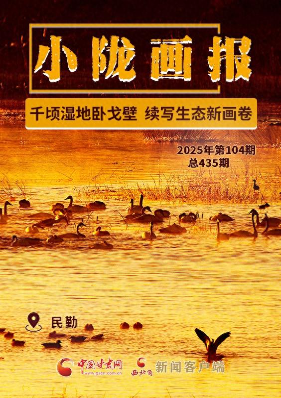 【小陇画报·435期】民勤：千顷湿地卧戈壁 续写生态新画卷