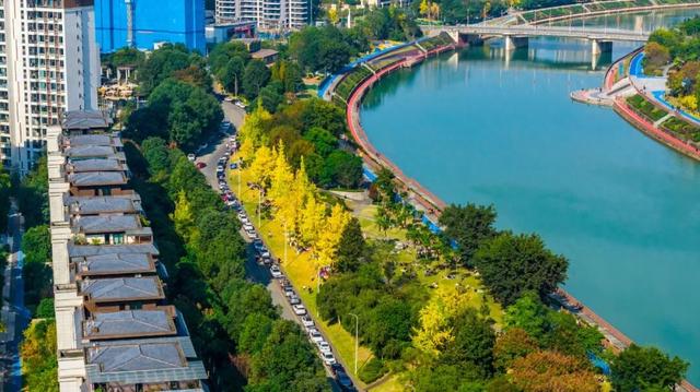 超美！大邑人的顶流来了