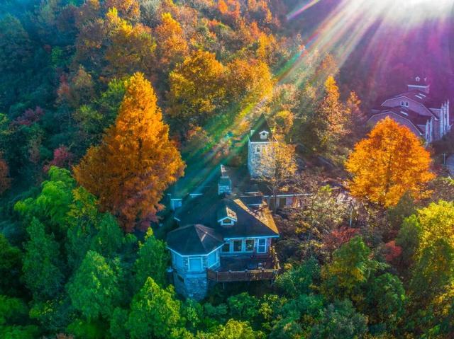 秋染东黄山：彩林、古道……这趟色彩约会快冲呀！| 皖美秋日