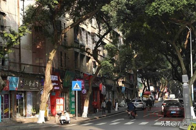 马年寻 “马”！泸州这条百年老街，藏着鲜活烟火气