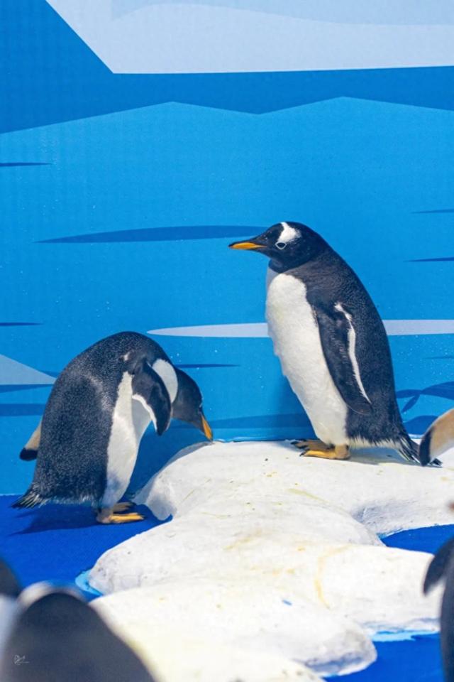 苏州八月旅行清单→