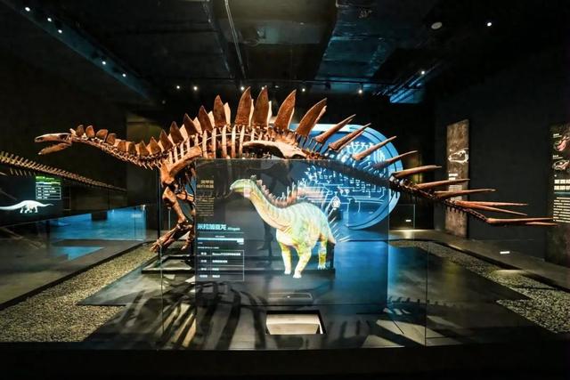 收藏！第四届广西青少年航空航天教育竞赛决赛期间，带孩子这样玩转周边研学场景