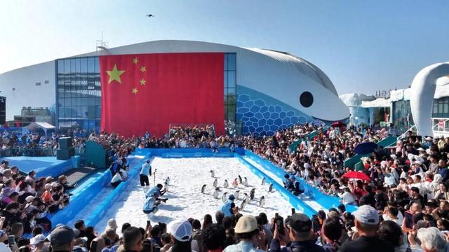 国庆中秋双节，黑龙江旅游市场人气旺盛、消费活跃！