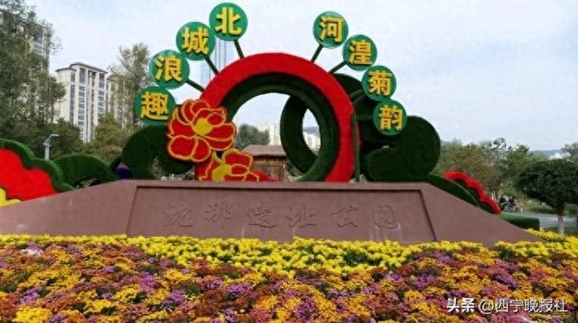 快来斗菊！城北区这场秋日花事邀您当主角