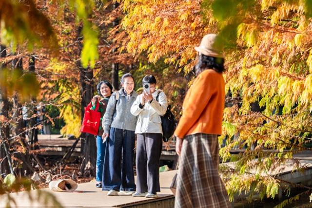 常州的秋，醉了