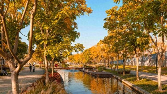 秋冬限定的普陀，美到让人流连忘返，你还不来打卡吗？