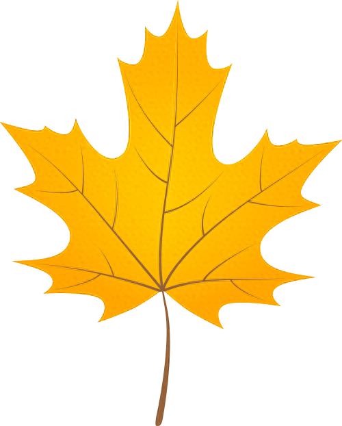 正值颜值巅峰！桂林这个地方的红枫藏不住了！