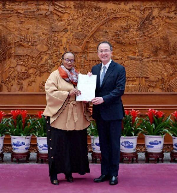 外交部部长助理兼礼宾司司长洪磊接受莱索托新任驻华大使递交国书副本