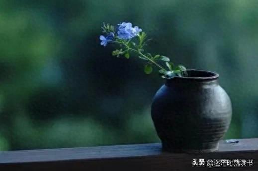 如果你真爱你的孩子，请在他步入社会前，教会他与世界相处的能力