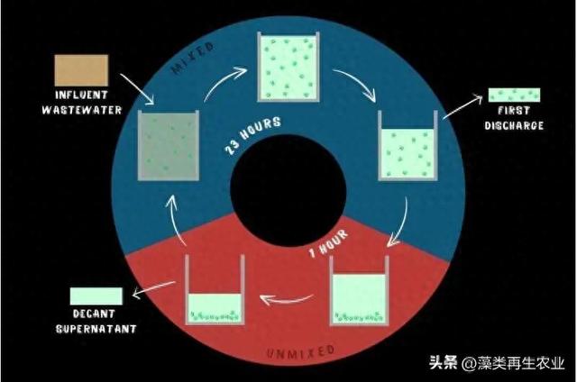 藻类系统改善了农村和地区社区的废水循环利用