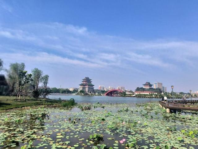 优化目标（致命的偏差当优化目标成为问题的根源）