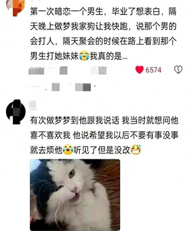 女生做梦梦到猫是什么意思（猫咪一个很有灵性的生物）