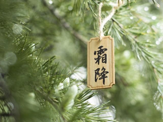 “上午霜降，冻死狗，下午霜降，穿单衣”，今年霜降在几点出现？