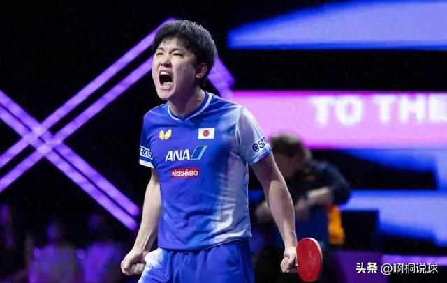 张本智和夺冠仅1天，国际乒联出手，处罚当值裁判？王楚钦新消息