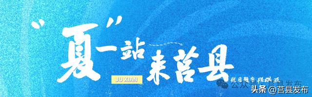 莒县文旅再焕新！浮来青“茶山牧场”开门迎客！
