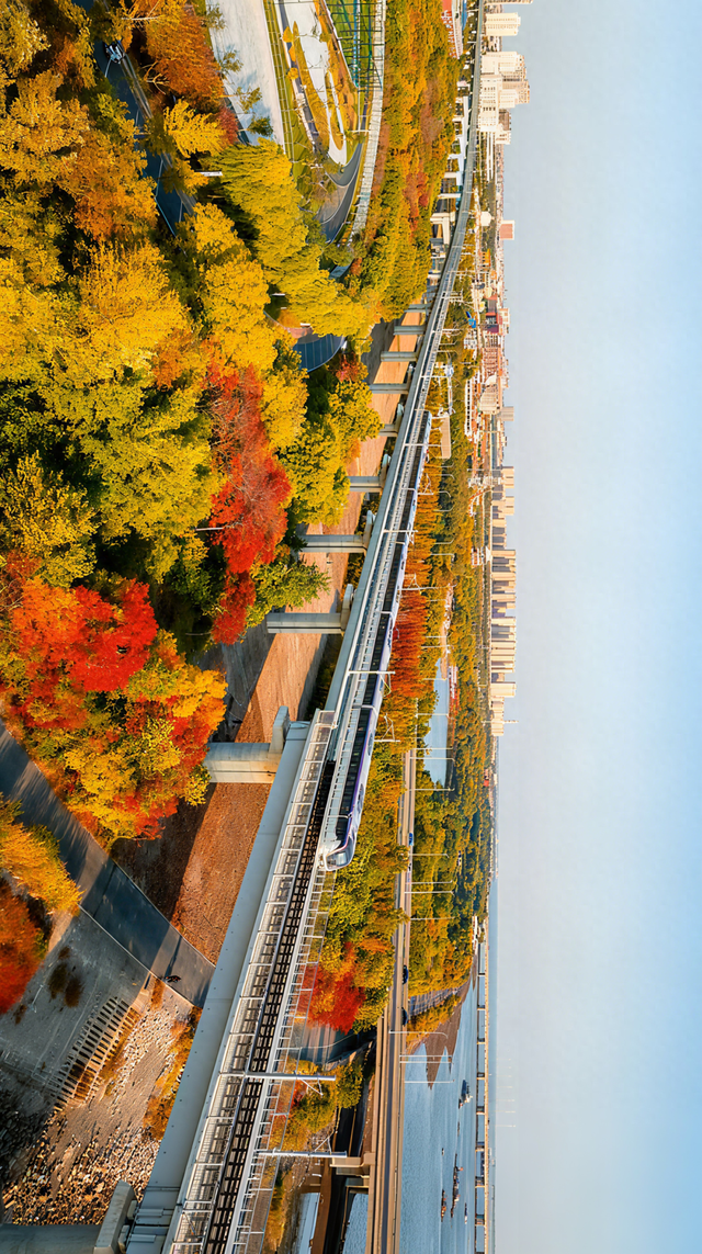 生态城的秋天，已经美得不像样了