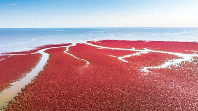 绝美画面惊艳央媒省媒！“大地之眼”尽显辽河口湿地之美