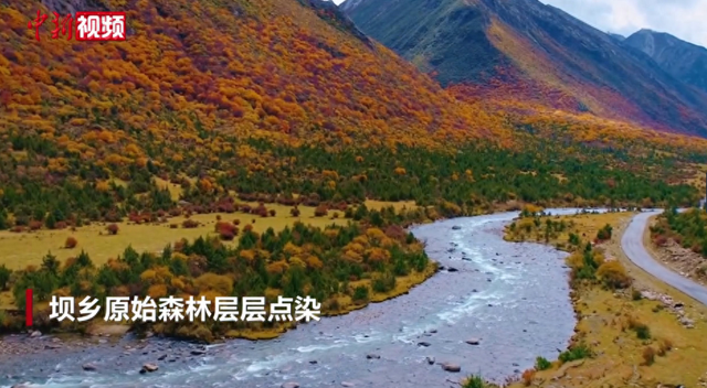 “冬游西藏”进行时 西藏加查冬景邀您共赏