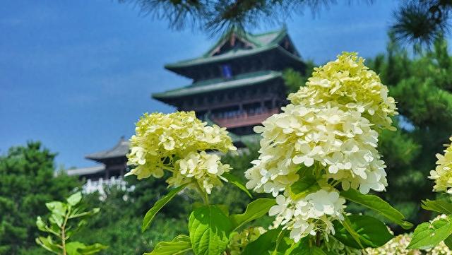 北京世园秋意渐浓 邀市民游客赏景打卡