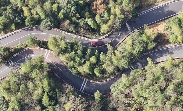 富阳这个网红村，游客车辆从山脚排到村里！