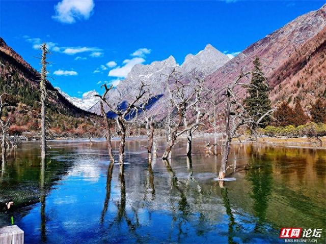 听，雪落下的声音！这里是四姑娘山的冬天