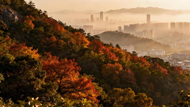 粉黛染霞闽水秋，银杏铺金古厝游 —— 福州秋色里的时空交响