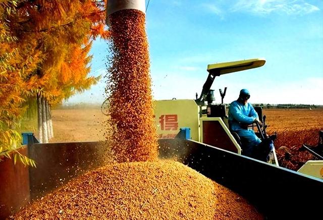 中国完不成 1200 万吨大豆采购	，协议要黄？美方主动为中方辟谣