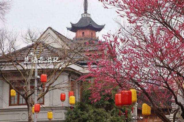 除了月湖公园的梅花，宁波城区这几处赏梅地也很美，交通相当方便