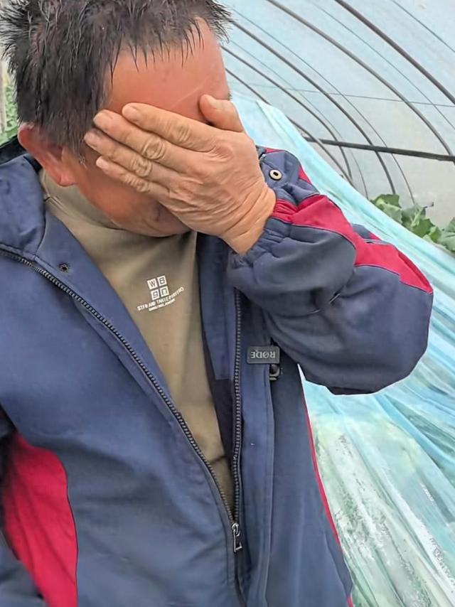 29岁儿子突发心梗离世，家里上万斤蔬菜滞销！浙江60岁大伯绝望痛哭	，短短一天后……