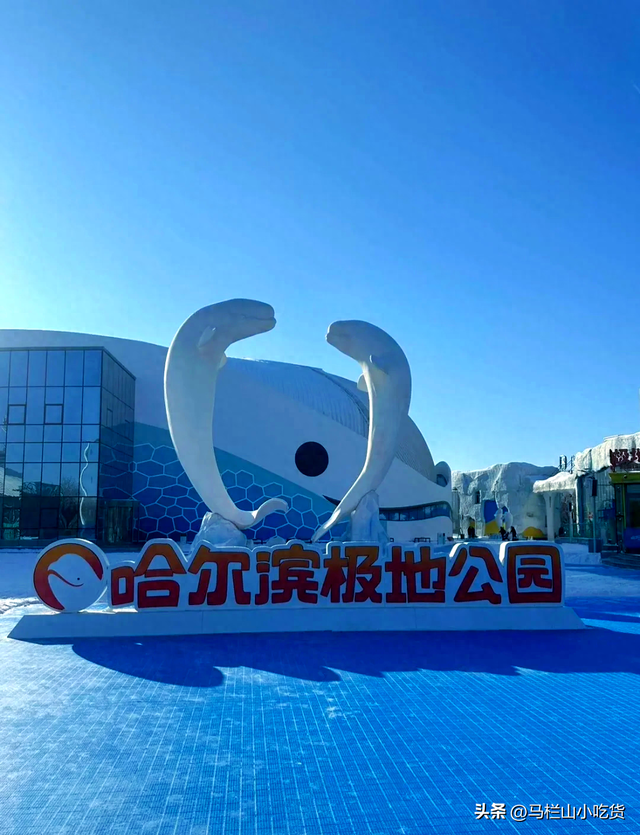 哈尔滨旅游，极地公园 | 超全打卡攻略！