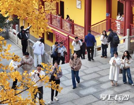 大雪至，洗心禅寺银杏的“黄金时刻”，游客打卡忙不停