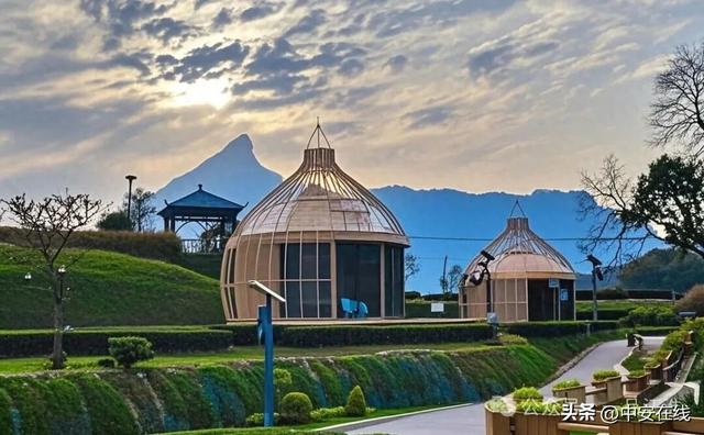 乡愁记 | 轮转三重赋：茶香、骑影与乡村觉醒