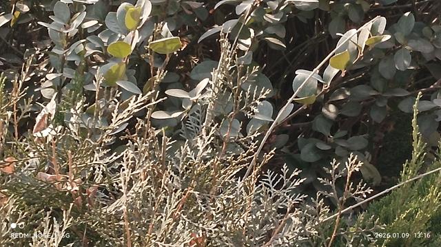 现代文学院==失去