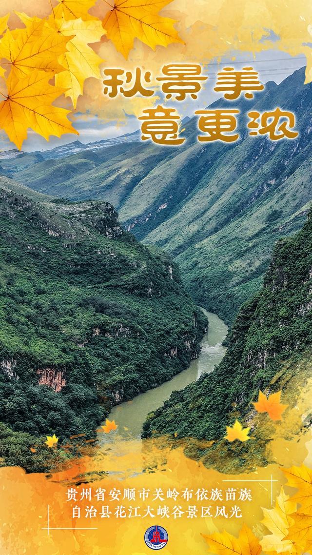 （图表·海报）秋景美 意更浓（5）