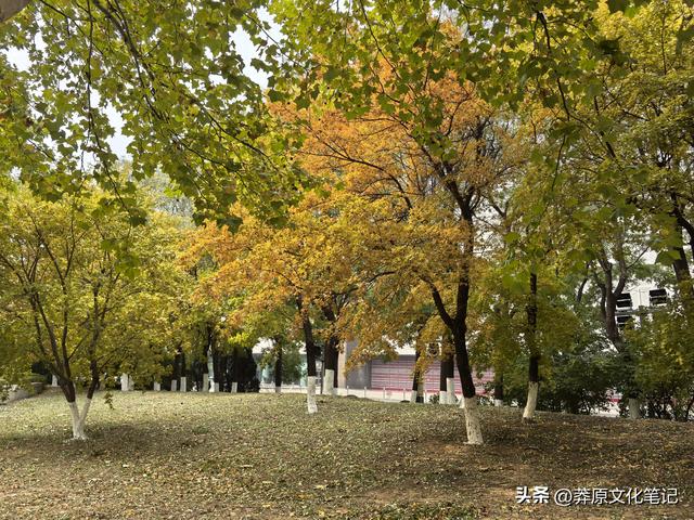 去兴城走近宁远古城，城门钟鼓楼牌坊引发思绪：袁崇焕祖大寿……