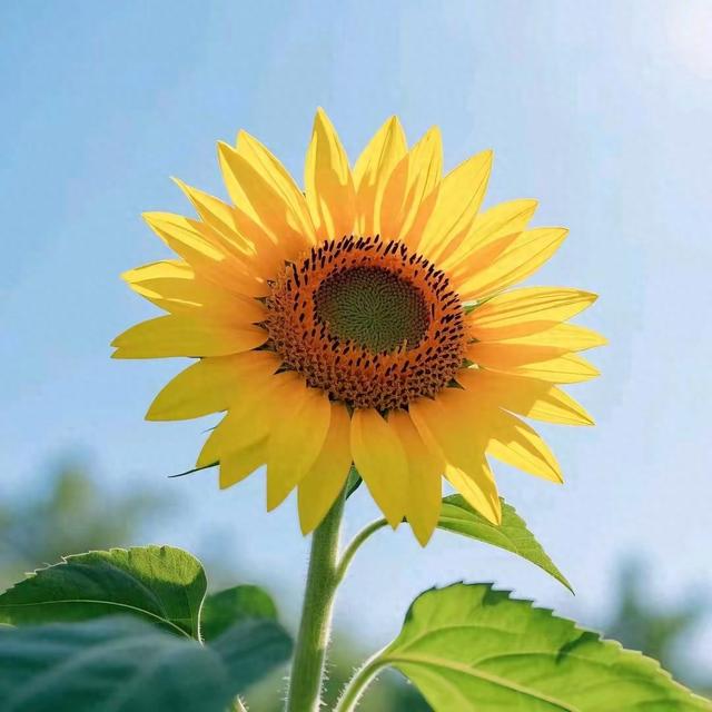 在数据地图里看见的千万种相逢