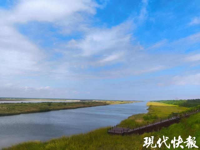 国庆假期，4条免费旅游公交带您畅玩盐城