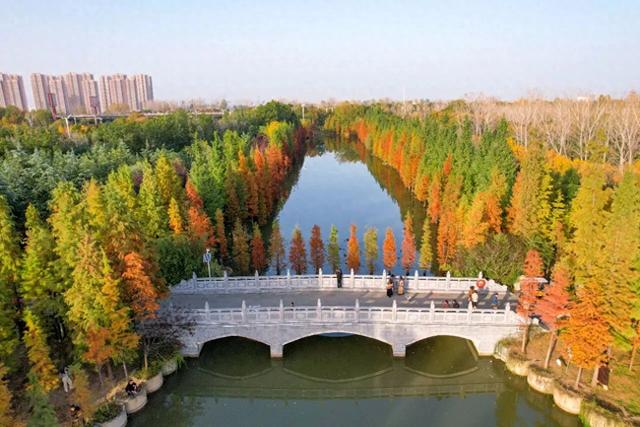 刚拍下!洛阳这个大型公园美爆了