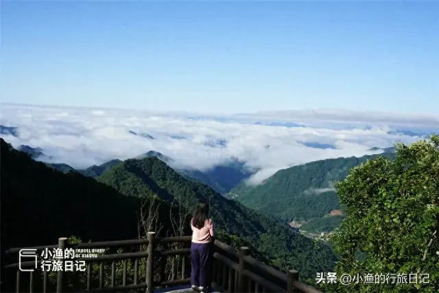 西安自驾2.5H，陕南这座“神仙小城”藏不住了！游山玩水逛古镇