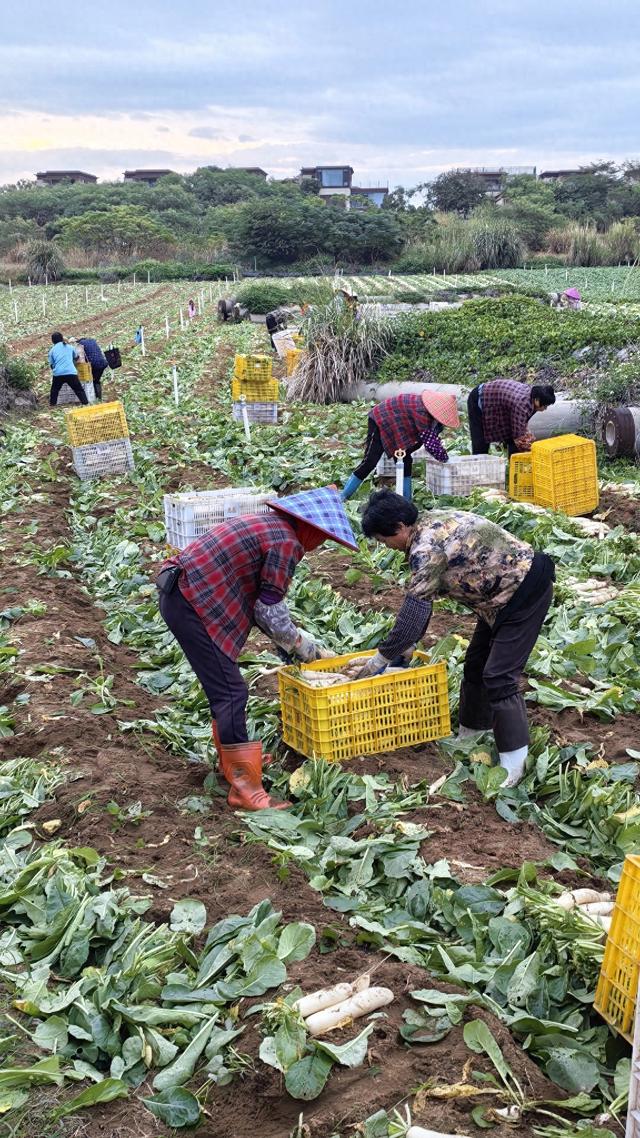和大自然的邂逅